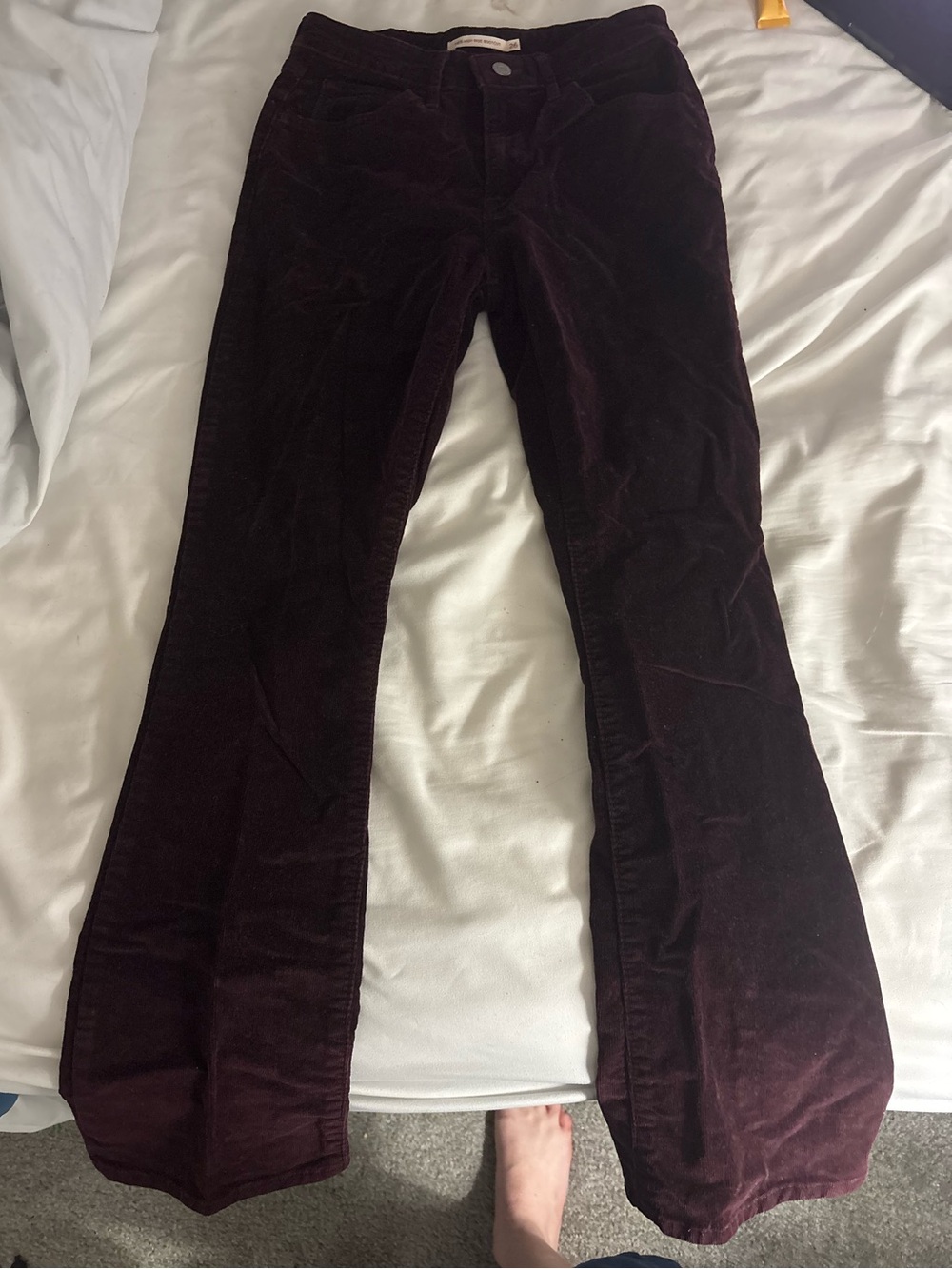 Levi's High Rise Burgundy Corduroy Bootcut
Jeans - Size 26